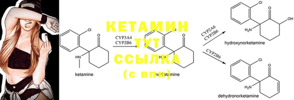твердый Мегион